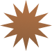 HOMEPAGE-STAR.png