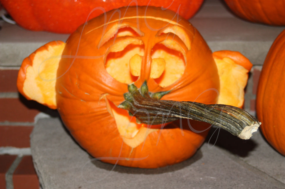 Heffalump Pumpkin