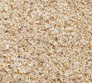 Psyllium-Husk.jpg