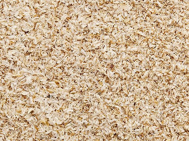 Psyllium-Husk.jpg