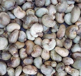 raw-cashew-nuts.jpg