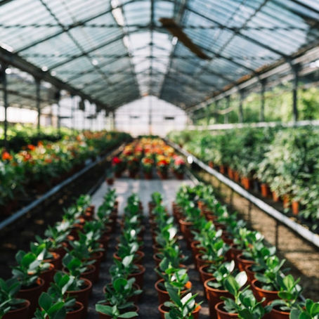 What is Horticulture Management & How Does It Work in 2024?
