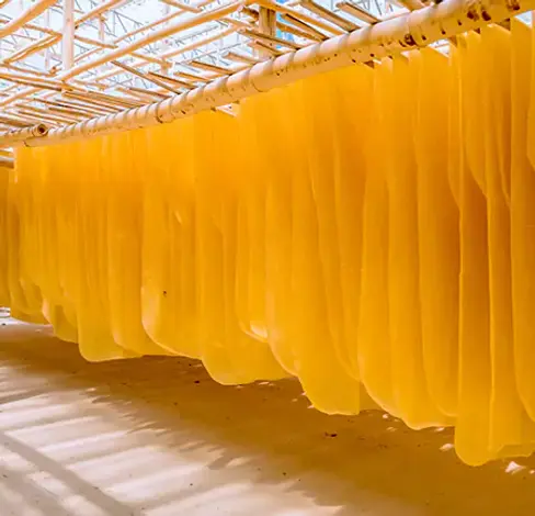 Raw rubber used for manufacturing rubber products