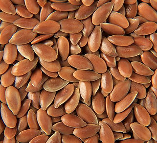 seeds-flax.jpg