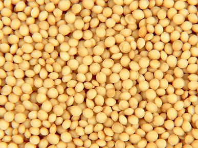 seeds-amaranth.jpg