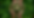 Screenshot 2025-09-04 180745-Photoroom.png
