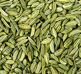 fennel-seeds-1.png