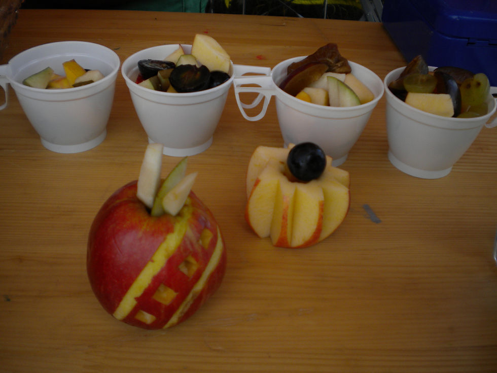 2009-01-01 00.00.00-61.jpg