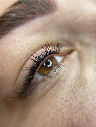 Captura de ecrã 2025-10-24 135014.png