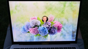 Insights, Compassion, Accuracy | My Website