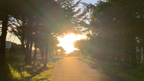 Web of LIGHT & Design