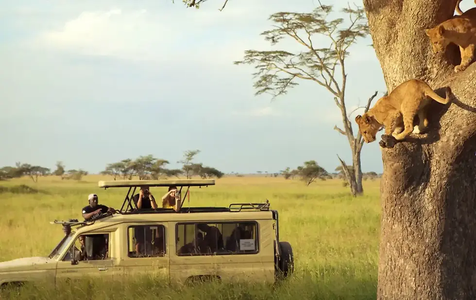 Hvorfor Tanzania er et av verdens beste safari reisemål