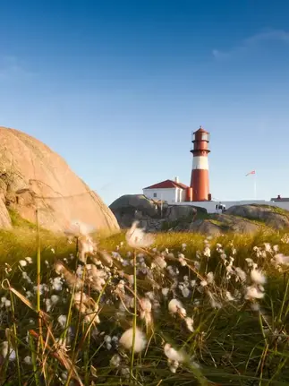 Hidden coastal landscape in Norway featuring a lighthouse, rocky terrain, and natural vegetation