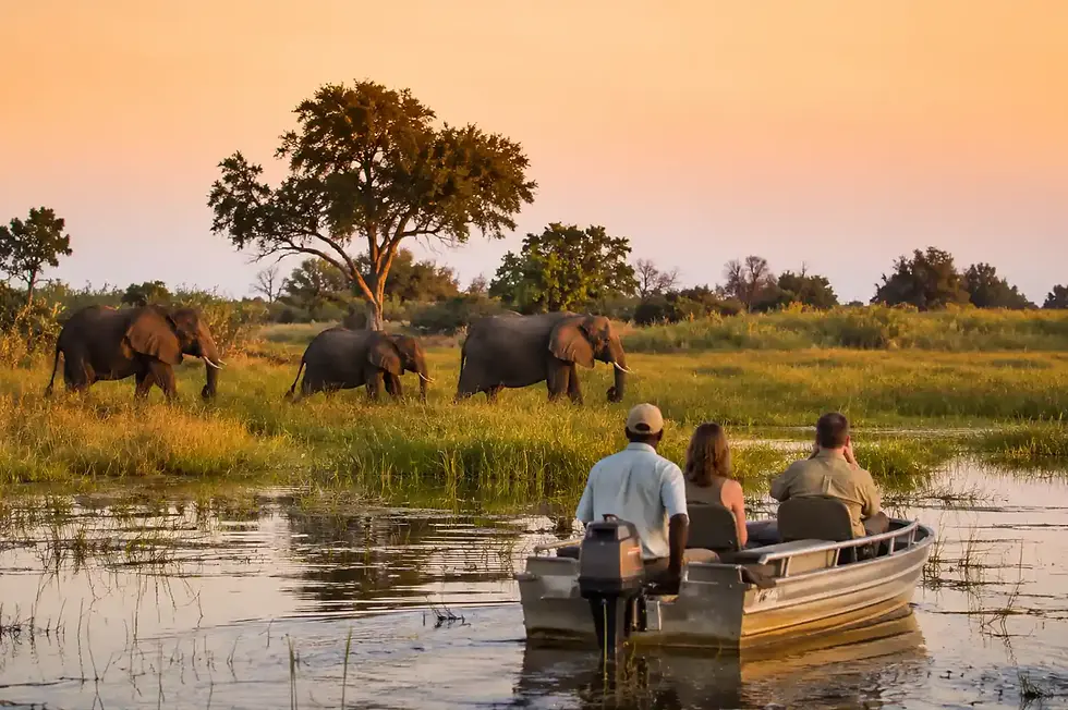 Bootssafari i Botswana med elefanter i Okavango-deltaet ved solnedgang