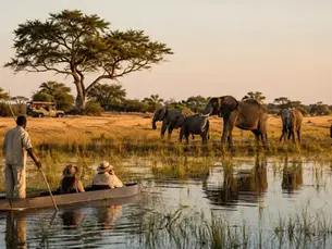 Safari i Botswana med elefanter ved Okavango-deltaet og mokoro på vannet