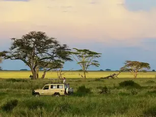Hvordan planlegge en safari i Tanzania: Alt du trenger å vite