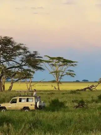 Hvordan planlegge en safari i Tanzania: Alt du trenger å vite