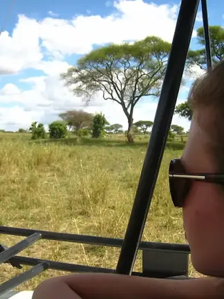 En person ser ut over savannen under en safari, med trær og en blå himmel i bakgrunnen