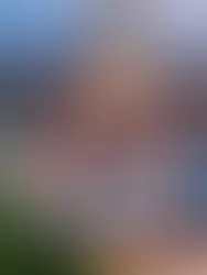 En panoramautsikt over Tallinn med gamle bygninger og kirketårn under en himmel i skumringen.