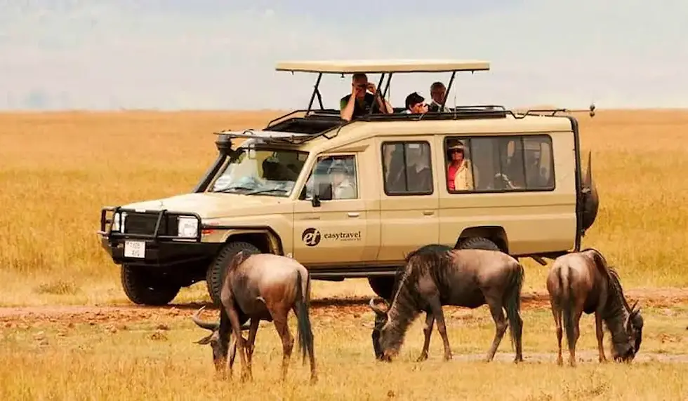 Vorteile einer Safari mit kleiner Gruppe