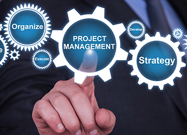 fire project management
