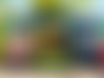 Hasalynx Press Romance Publisher’s Monthly Releases in June 2026