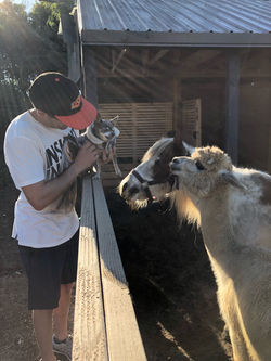 Cappy, Blu and Wiz Clark, Fire