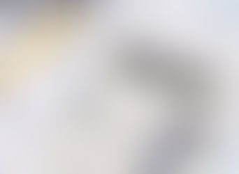 City Headlines, 2/1/2019