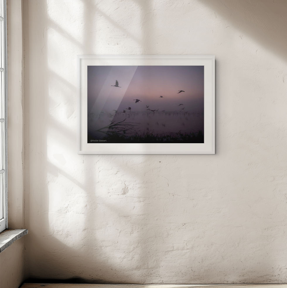 Thumbnail: Agmon Hula Take-off framed print on a white wall