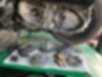 S__26394681