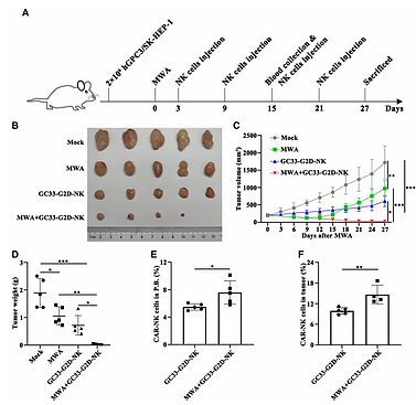 Dr Ni Qianqian Lab | NUS - Ni's lab