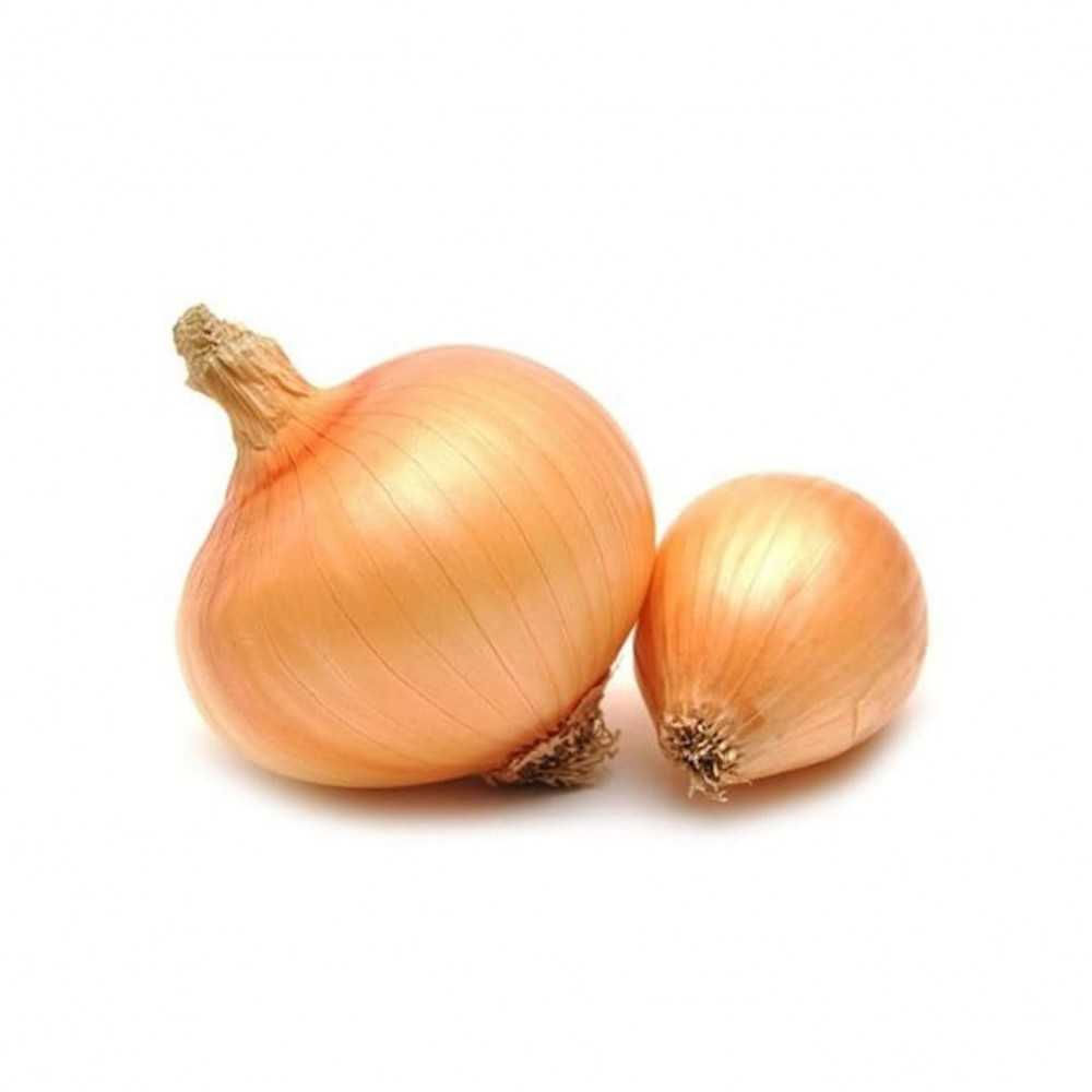Organic Onion Kg