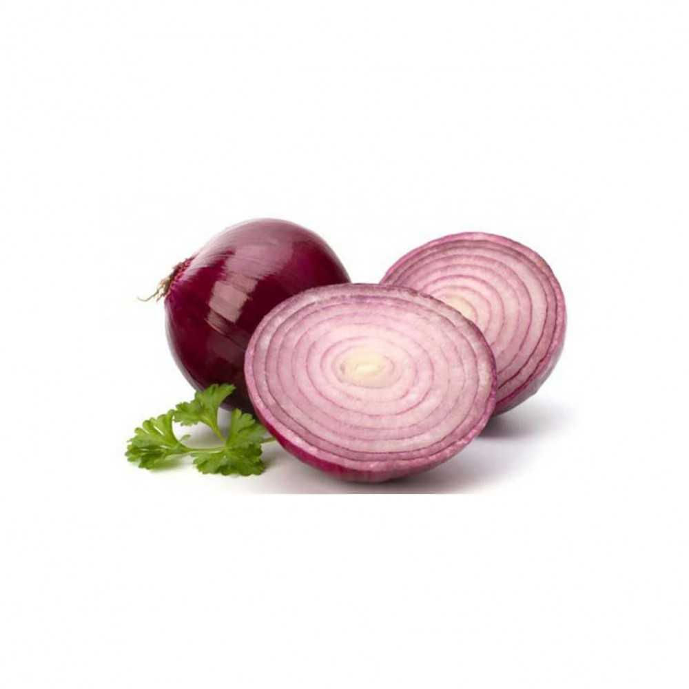 Organic Red Onion kg