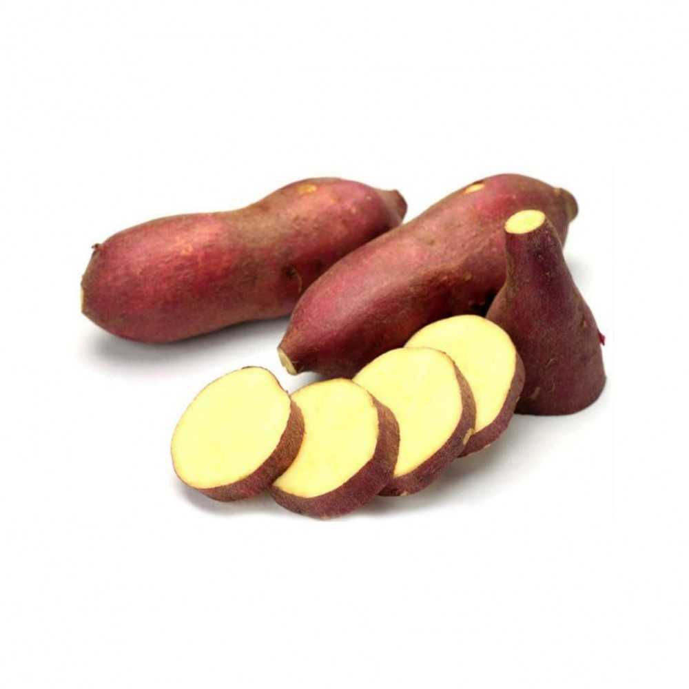 Organic Sweet Potato kg
