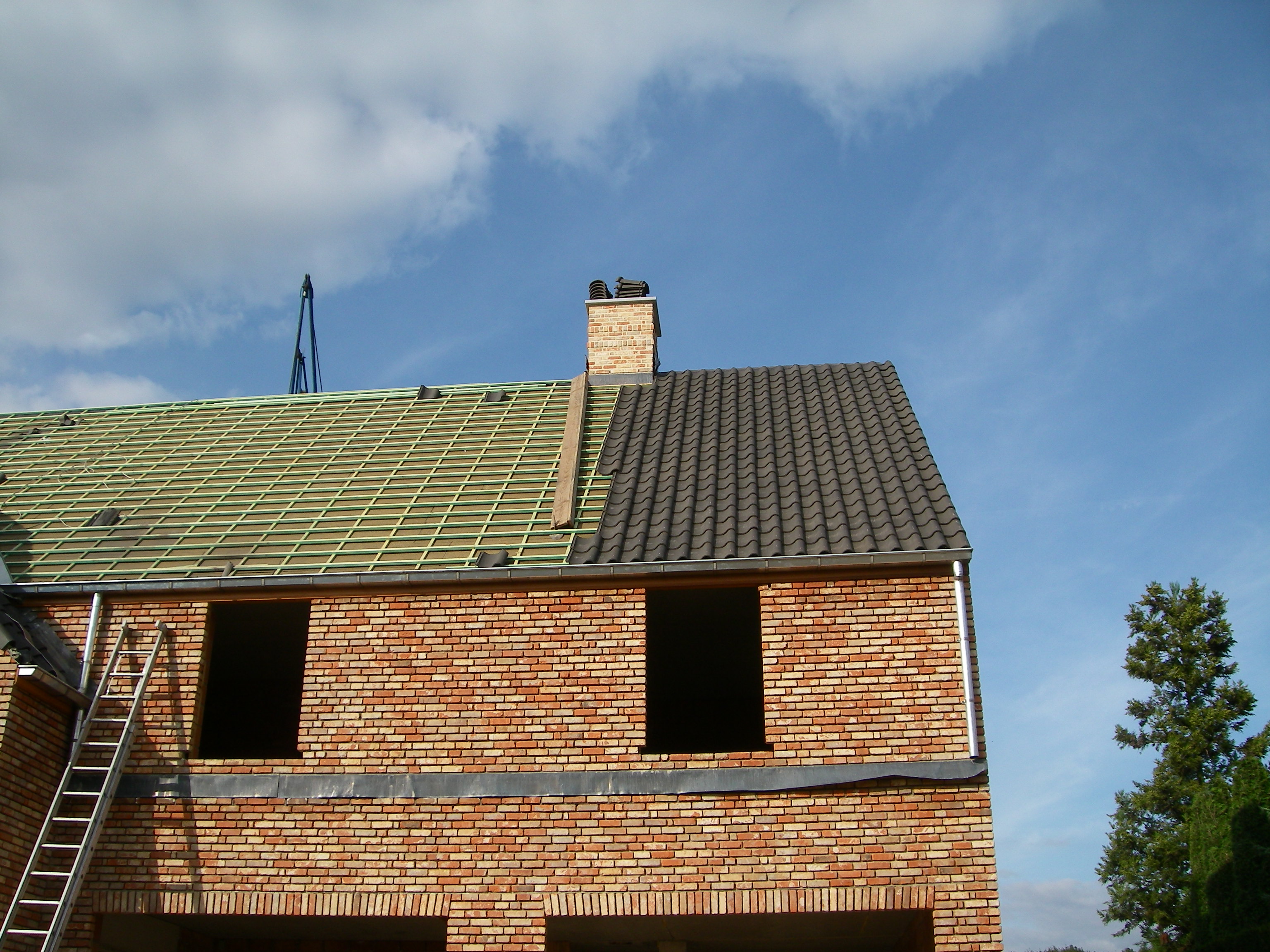 IMGP3207