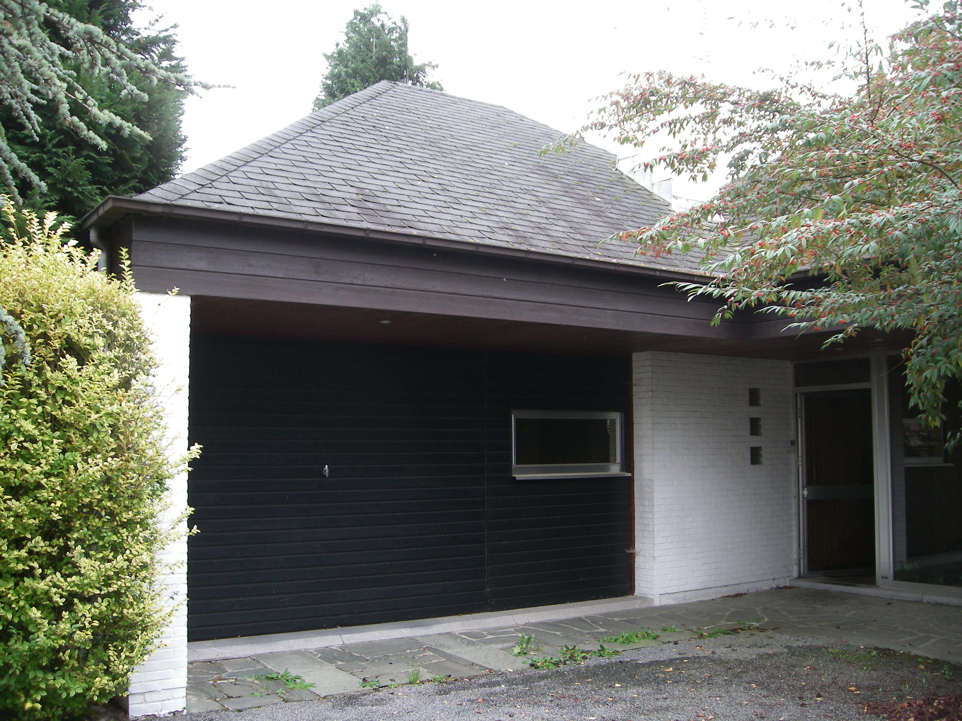 IMGP3292