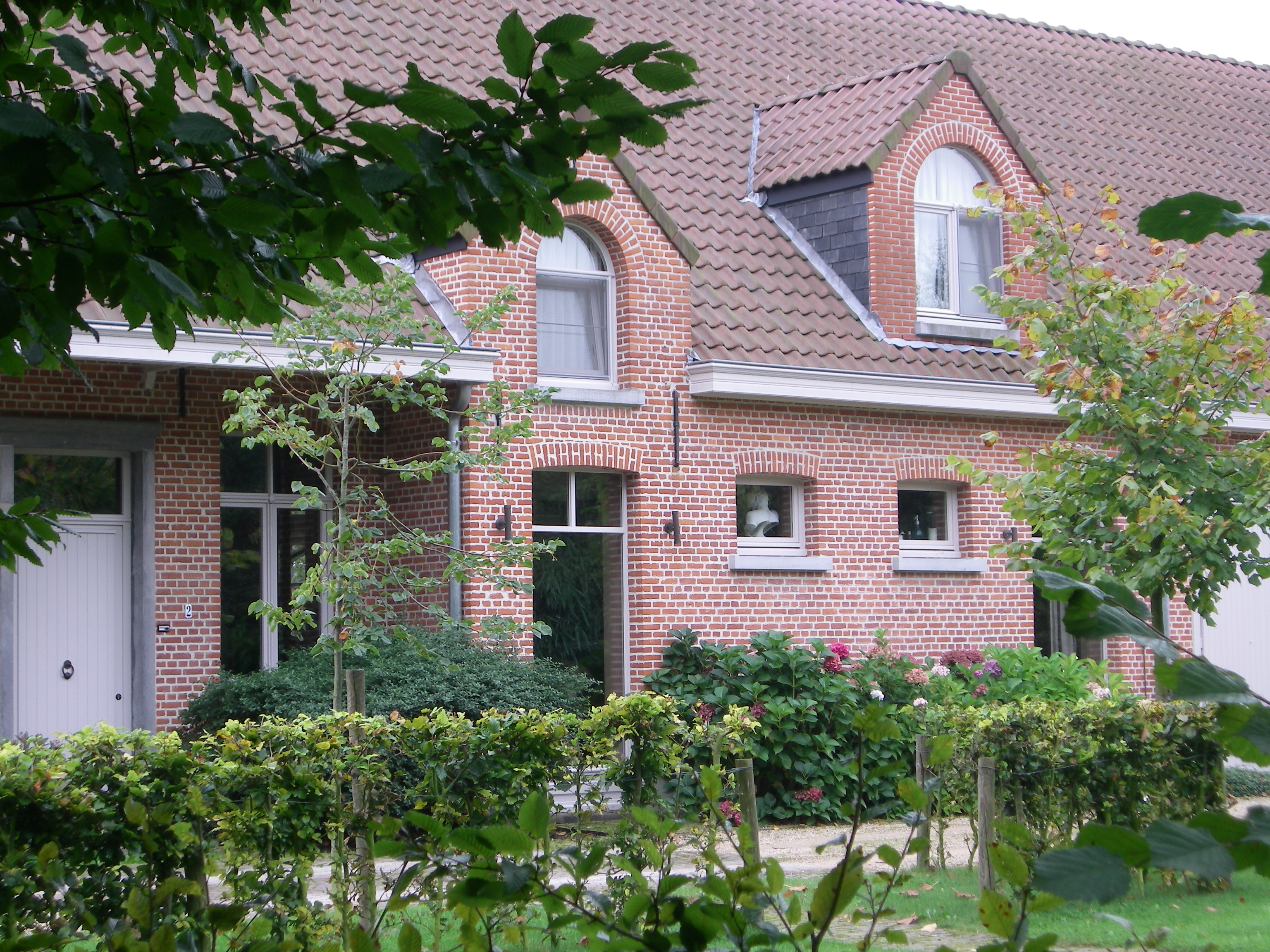 IMGP1621