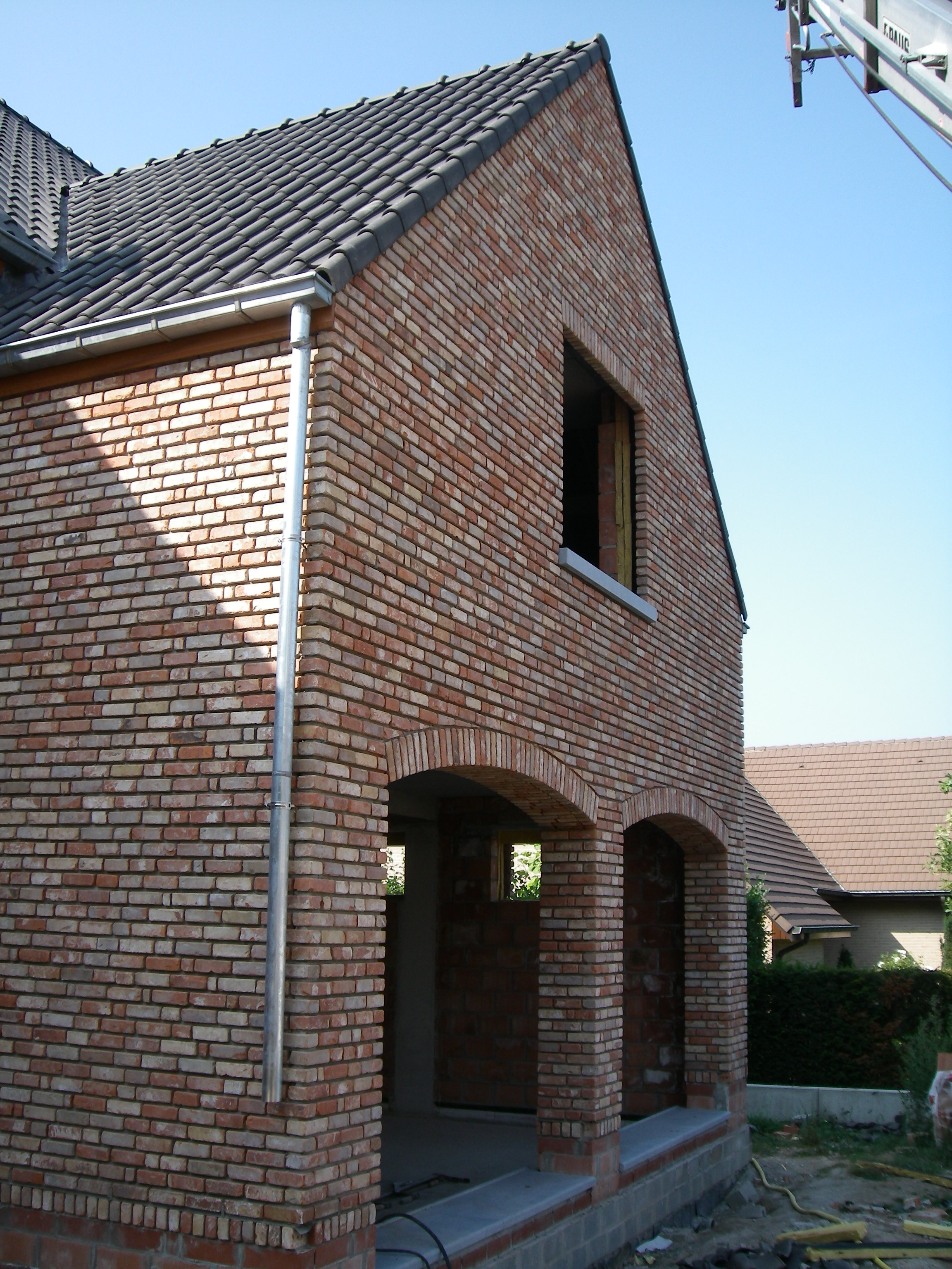 IMGP3223