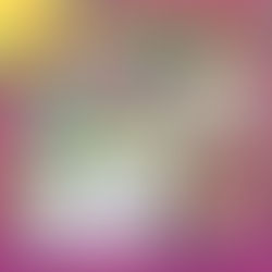 2026年1月のSNSプレゼントキャンペーン情報