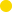黄色丸.png