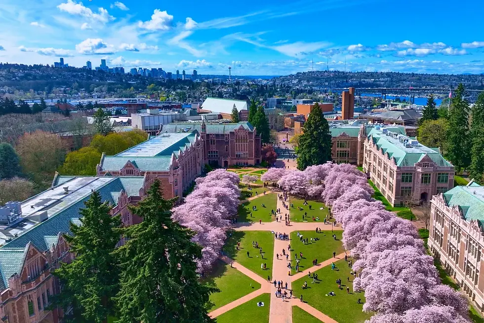 cherry-blossoms_Fei-Huang-shutterstock_1103196275_b9afjq.webp