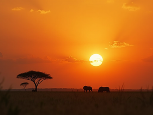 Discovering Authentic African Experiences on Your Safari
