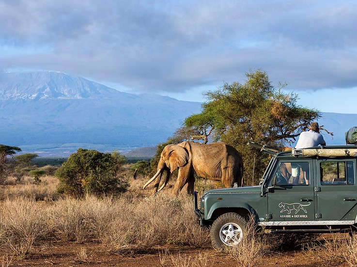 Safari self-drive vehicle watching big tusker elephants in Amboseli, Kenya with Mount Kilimanjaro in the background, during a self-drive safari experience