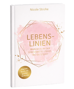 0B8C9F0F-2F21-4A05-BE63-92D21B5F912F_edi