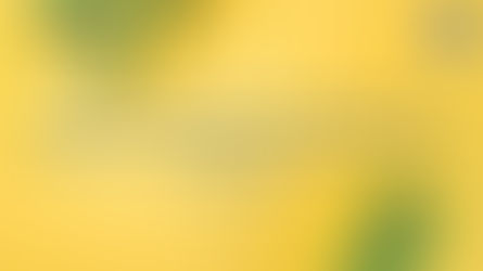 Scaling a Personal Care D2C Brand to 8 Figures in Just 3 Months with Meta Ads and Google Ads