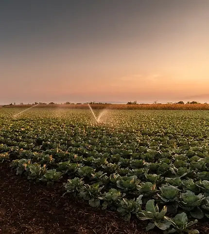 Embedded software systems in agriculture