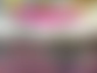 Zomerfeestmagazine 2024 komt er aan