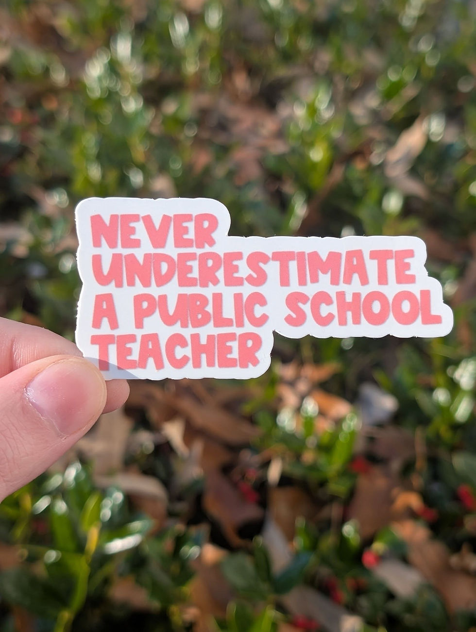 Never Underestimate a Public School Teacher Sticker
