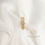 Miniatura: GOLDEN BLAZE
