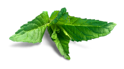 Lemon Leaf at Juice Joint
